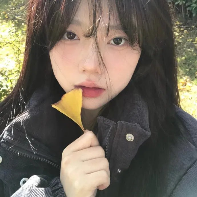 飙风老爹