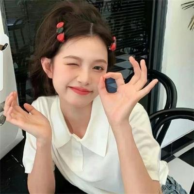 傻了吧我有一屋子美女房客